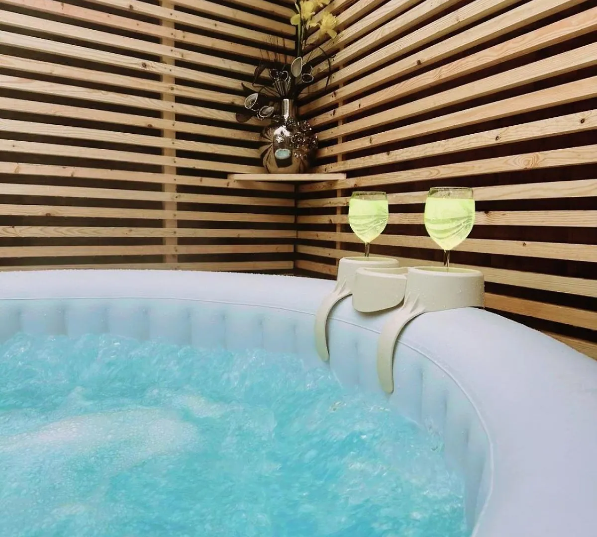 1 Bedroom Apartment With Hot Tub In Cardiff